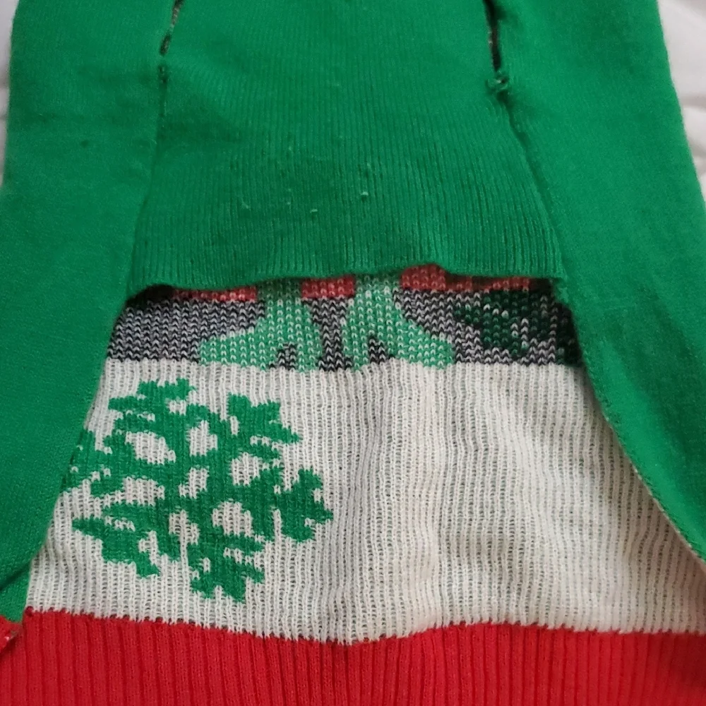 Festive Santa Dog Sweater - Red and Green